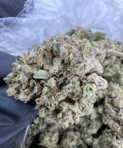CEREAL MILK AAA STRAIN