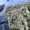 LEMON CHERRY RUNTZ STRAIN