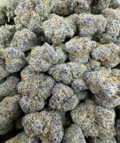 TROPICAL BLAST EXOTIC STRAIN