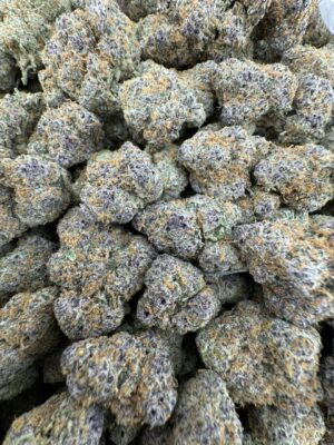 TROPICAL BLAST EXOTIC STRAIN