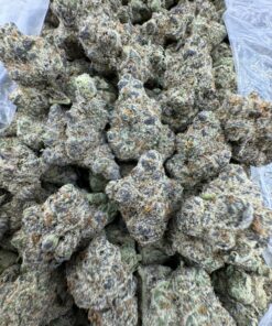 CHERRY COSMO EXOTIC STRAIN
