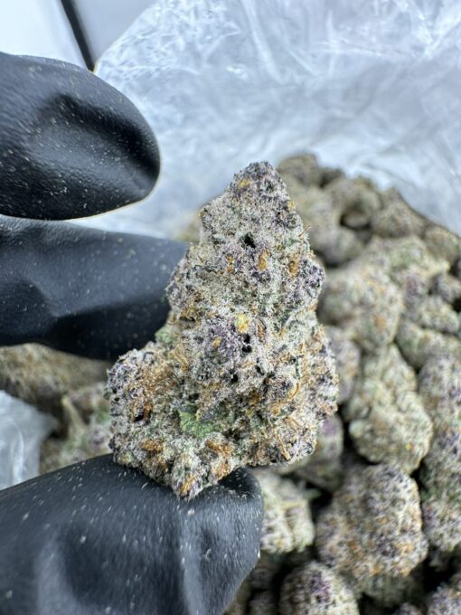 Frostbite exotic strain