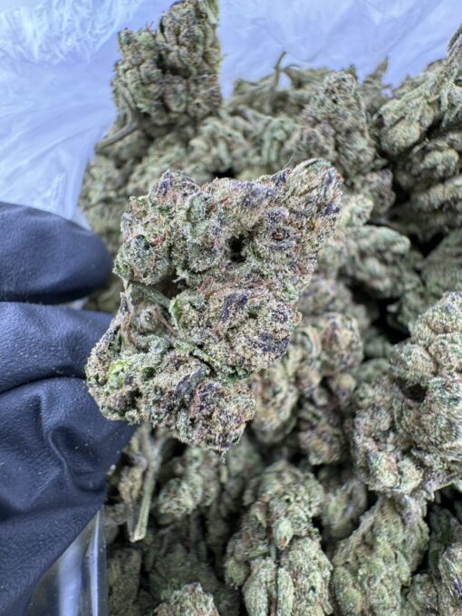 LEMON CHERRY RUNTZ STRAIN
