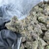 LUCKY DRAGON STRAIN