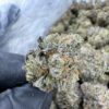 Drip Station Strain