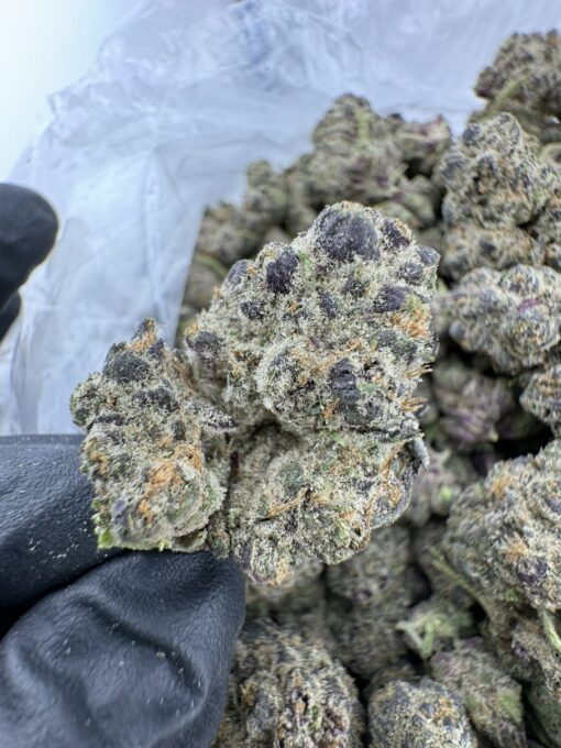 BananaConda Strain