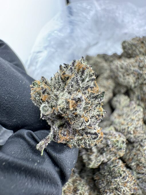 Sin Mints Strain