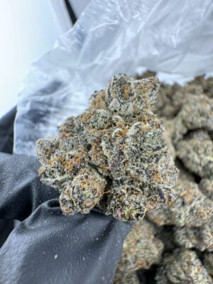frozen oreoz strain