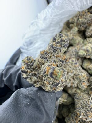 Electric colada strain