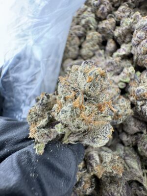 manzanita weed strain