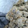 TROPICAL BLAST EXOTIC STRAIN