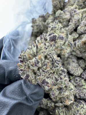 GRAPE SCOTCH STRAIN
