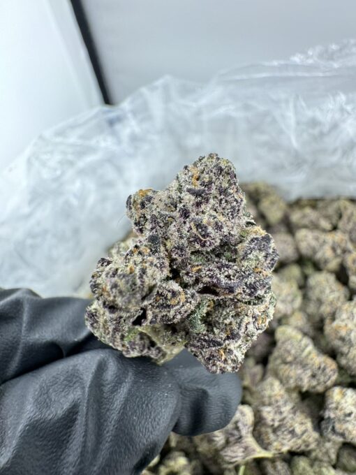 zlushie exotic strain