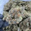 romulan aaa strain