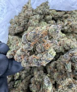 romulan aaa strain