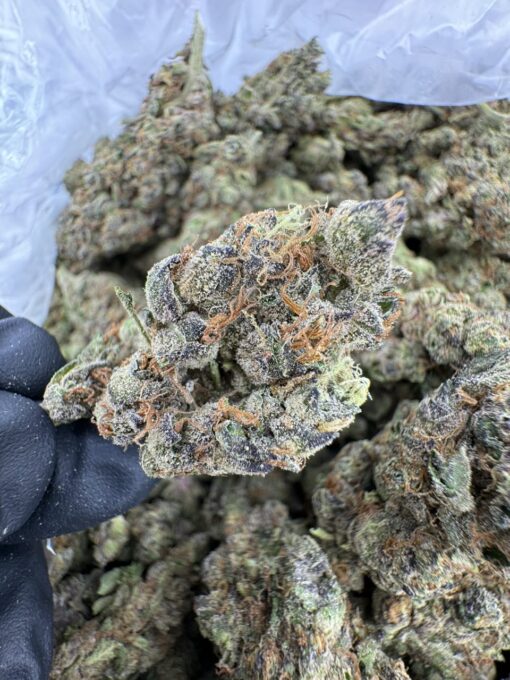 romulan aaa strain