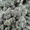 LEMON CHERRY RUNTZ STRAIN