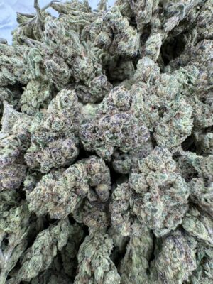 LEMON CHERRY RUNTZ STRAIN