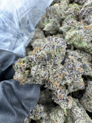 LUCKY DRAGON STRAIN