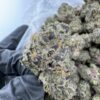 BananaConda Strain