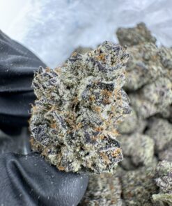 Sin Mints Strain