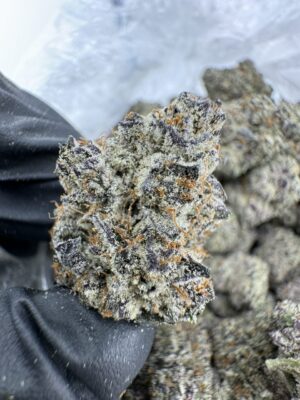 Sin Mints Strain