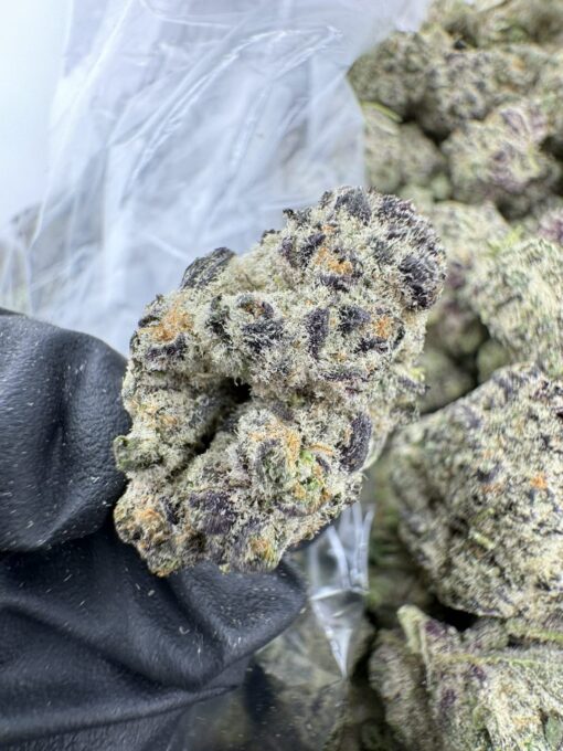 Key Lime Pie strain