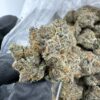 frozen oreoz strain
