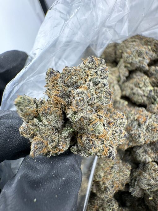 frozen oreoz strain