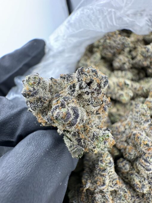 Electric colada strain