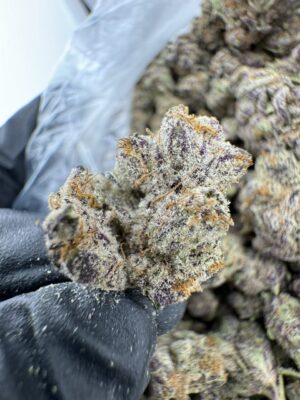manzanita weed strain