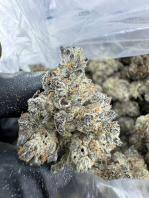 Bubblegum jack WEED strain