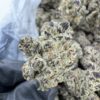 GRAPE SCOTCH STRAIN