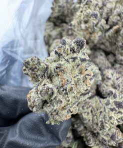 GRAPE SCOTCH STRAIN