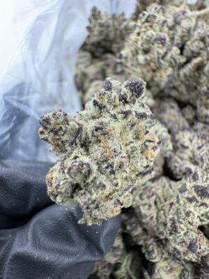 GRAPE SCOTCH STRAIN