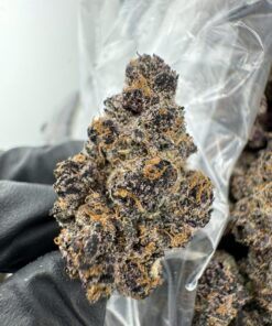 london truffle strain