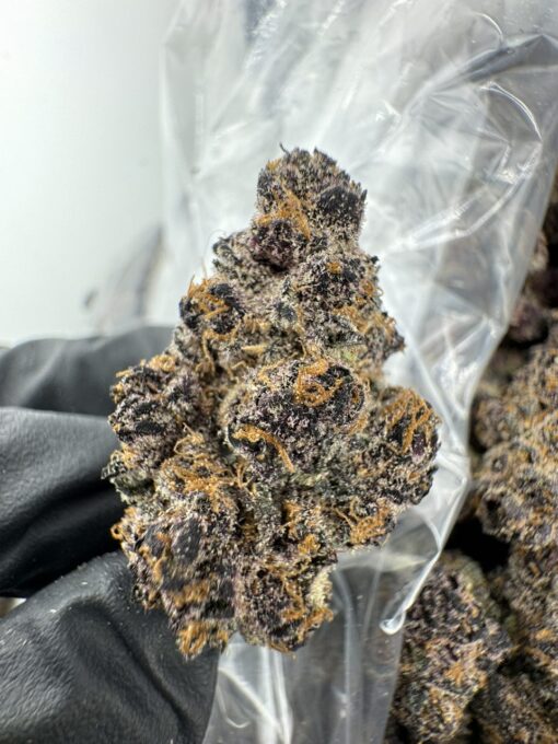 london truffle strain