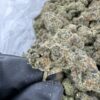 CHERRY COSMO EXOTIC STRAIN