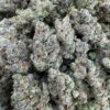 romulan aaa strain