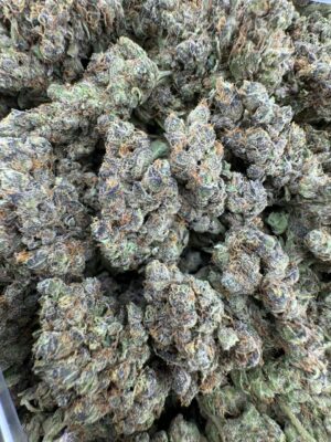 romulan aaa strain