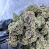 Candy Crush AAA STRAIN