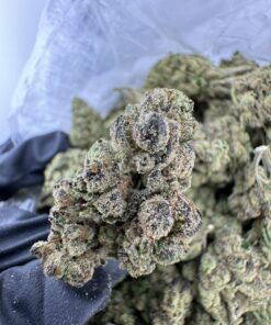 Candy Crush AAA STRAIN