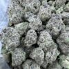 Key Lime Pie strain