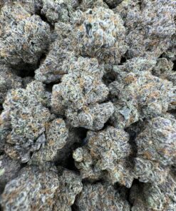 frozen oreoz strain