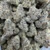 Electric colada strain