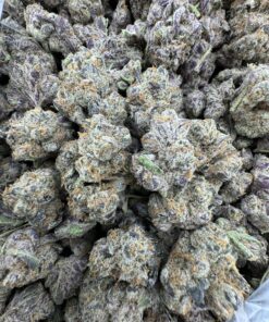 manzanita weed strain