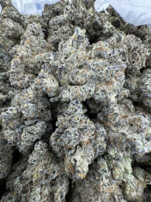Bubblegum jack WEED strain