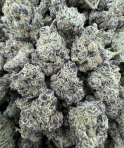 GRAPE SCOTCH STRAIN