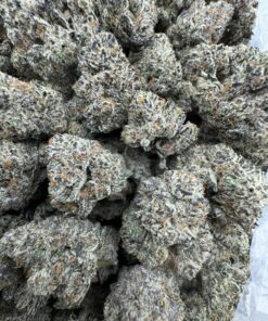 Sin Mints Strain