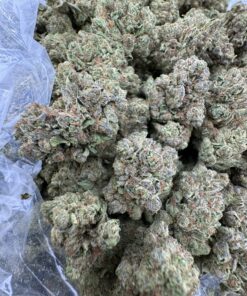 Blue Dream Sativa hybrid